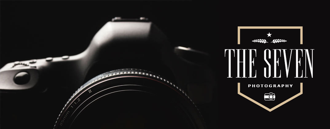 the7-photo-banner-new-logo the7-photo-banner-new-logo